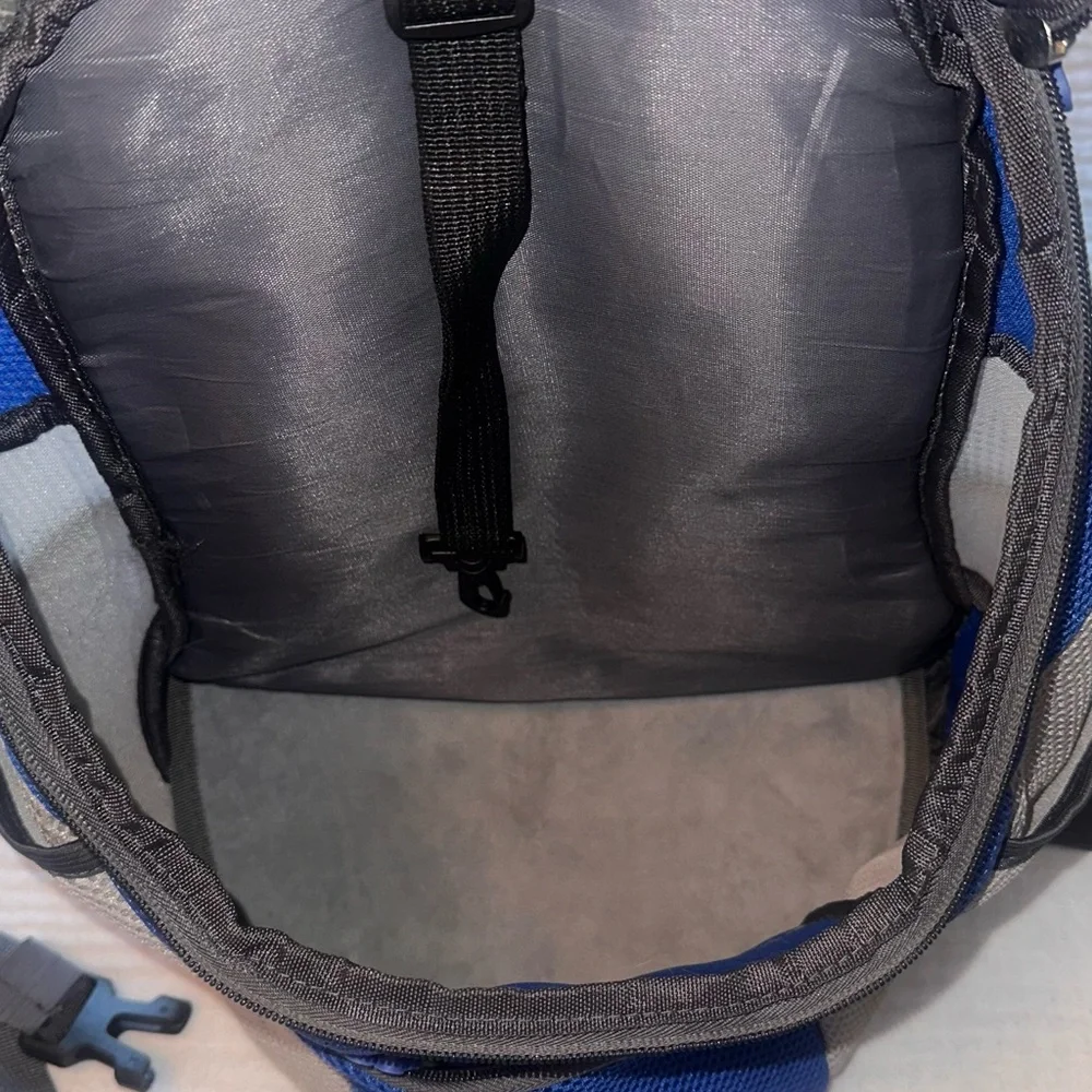 Blue and Gray Small Pet Backpack